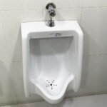 Bồn tiểu nam CAESAR U0240 treo tường, thoát ngang - Ảnh 3