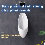 Bồn tiểu nam CAESAR U0264 treo tường, thoát ngang - Ảnh 5