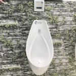 Bồn tiểu nam CAESAR U0267 treo tường, thoát ngang - Ảnh 2