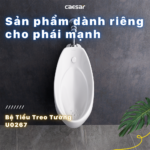 Bồn tiểu nam CAESAR U0267 treo tường, thoát ngang - Ảnh 5