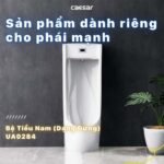 Bồn tiểu nam CAESAR U0284 đặt sàn, cấp nước sau, thoát sàn - Ảnh 6
