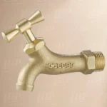 Vòi gắn tường CAESAR W035