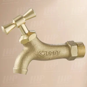 Vòi gắn tường CAESAR W035