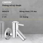 Vòi lavabo CAESAR W047C lạnh, gắn tường - Ảnh 7