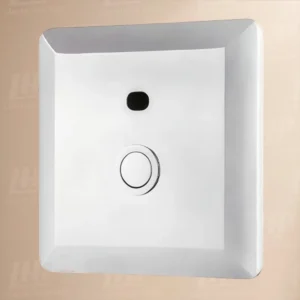Van xả tiểu American Standard WF-8603
