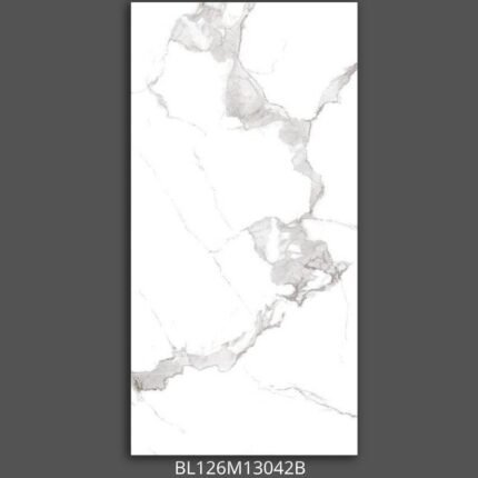 Gạch 60x120 BL126M13 Porcelain mờ mịn