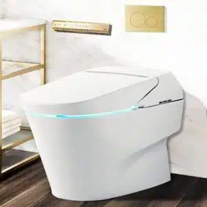 Bồn cầu điện tử