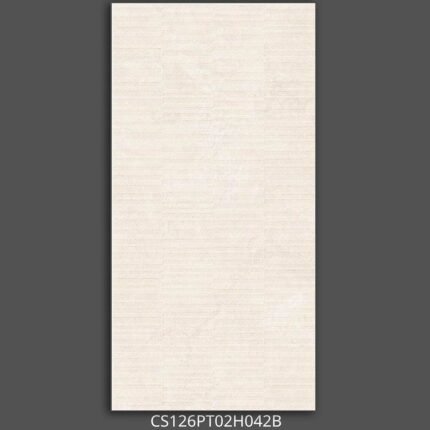Gạch 60x120 CS126PT02H Porcelain mờ
