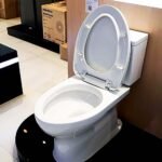 Bồn cầu TOTO CS300DRT10#W 2 khối, nắp êm  TC395VS - Ảnh 4