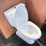 Bồn cầu TOTO CS300DRT3#W hai khối nắp êm TC385VS - Ảnh 4