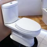 Bồn cầu TOTO CS325DRT2#W 2 khối nắp êm TC393VS - Ảnh 3