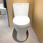 Bồn cầu TOTO CS735DT10#XW 2 khối, nắp êm TC395VS - Ảnh 2