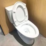 Bồn cầu TOTO CS735DT10#XW 2 khối, nắp êm TC395VS - Ảnh 4