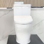 Bồn cầu TOTO CS769CDRW23#XW 2 khối (Giấu dây), nắp điện tử TCF47360GAA - Ảnh 2