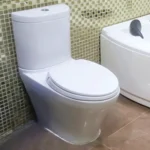 Bồn cầu TOTO CS818DT2#W 2 khối nắp êm TC393VS - Ảnh 2