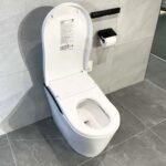 Bồn cầu thông minh NEOREST LS TOTO CS911VT#NW1/ TCF87220GAA#NW1/ T53P100VR - Ảnh 5