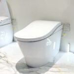 Bồn cầu thông minh NEOREST LS TOTO CS911VT#NW1/ TCF87120GAA#NW1/ T53P100VR - Ảnh 3