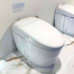 Bồn cầu thông minh NEOREST RS TOTO CS921VT#NW1/ TCF83410GAA#NW1/ T53P100VR - Ảnh 4