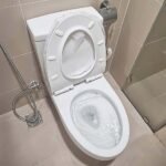 Bồn cầu TOTO CS948DT8#XW 2 khối, nắp êm TC600VS - Ảnh 4