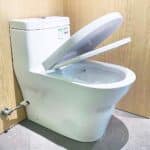 Bồn cầu TOTO CW166RB#XW 1 khối nắp êm TC384CVK - Ảnh 3