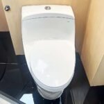 Bồn cầu TOTO CW823RAT2W 1 khối nắp êm TC393VS - Ảnh 3