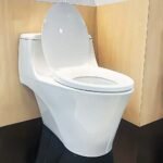 Bồn cầu TOTO CW823RAT2W 1 khối nắp êm TC393VS - Ảnh 2