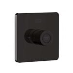 Nút điều chỉnh đầu sen American Standard FFAS0926HG dòng EasySET, màu xám đen