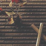 Gạch kiến trúc INAX HAL-20BN/ HB-7 bộ sưu tập HOSOWARI BORDER - Ảnh 4