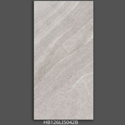 Gạch 60x120 HB126LI5 Porcelain mờ