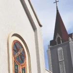 Gạch kiến trúc INAX-255/ VIZ-2 - Ảnh 2