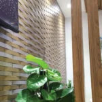 Gạch kiến trúc INAX-40B/ KH-5 bộ sưu tập KAIHA - Ảnh 2