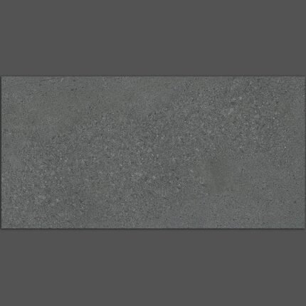 Gạch 30x60 LC3621D Porcelain mờ