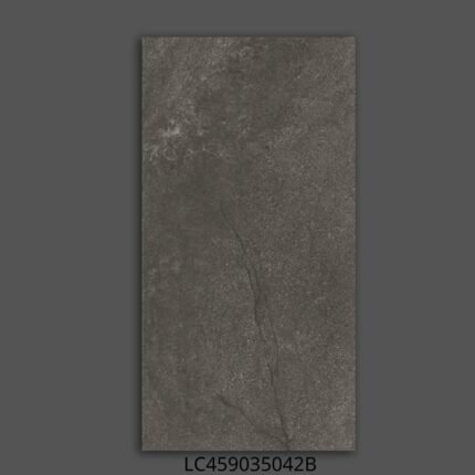 Gạch 45x90 LC459035 Porcelain mờ