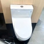 Bồn cầu TOTO MS625DT2#XW 1 khối nắp êm TC393VS - Ảnh 4