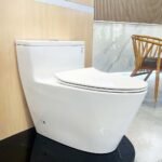 Bồn cầu TOTO MS625DT8#XW 1 khối nắp êm TC600VS - Ảnh 2