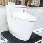 Bồn cầu TOTO MS636CDRW23#XW 1 khối (Giấu dây), nắp điện tử TCF47360GAA - Ảnh 6