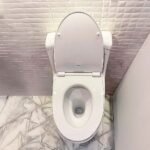 Bồn cầu TOTO MS636DT8#XW 1 khối nắp êm TC600VS - Ảnh 5