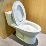 Bồn cầu TOTO MS855DT2#XW 1 khối nắp êm TC393VS - Ảnh 3