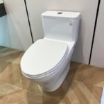 Bồn cầu TOTO MS857DT10#XW 1 khối nắp đóng êm TC395VS - Ảnh 6