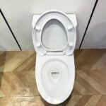 Bồn cầu TOTO MS857DT10#XW 1 khối nắp đóng êm TC395VS - Ảnh 3