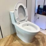 Bồn cầu TOTO MS857DT2#XW 1 khối nắp êm TC393VS - Ảnh 4