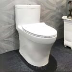 Bồn cầu TOTO MS889DRT8#XW 1 khối nắp êm TC600VS - Ảnh 2