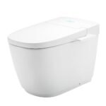 Bồn cầu thông minh INAX AC-816VN/ BW1 (AC816VN) SARAS LIGHT-E