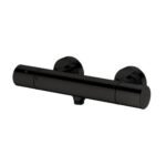 Vòi sen nhiệt độ TOTO TBV01401BA#MBL đen mờ