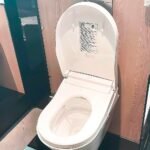 Nắp bồn cầu điện tử WASHLET TOTO TCF34570GAA#NW1 dòng S5 - Ảnh 4