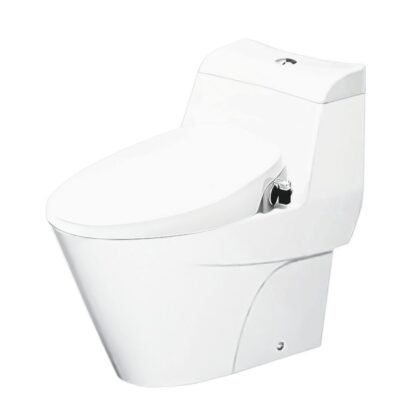 Bồn cầu American Standard VF-2010S (VF2010S) 1 khối, nắp rửa cơ SLIM00001-WT (Slim), dòng Activa