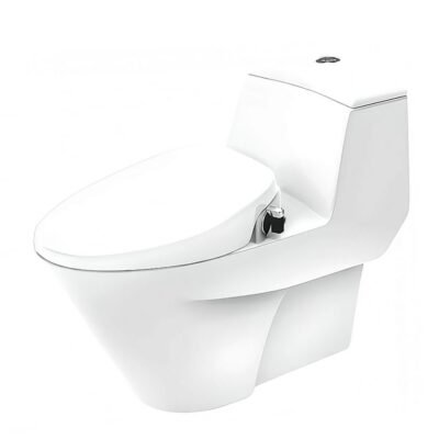 Bồn cầu American Standard VF-2011S (VF2011S) 1 khối, nắp rửa cơ SLIM00001-WT (Slim), dòng Active