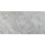 Gạch 40x80 FLYG48013P_062B