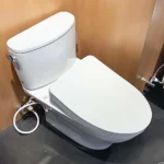 Bồn cầu TOTO CS767CRW25#XW - Ảnh 5