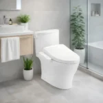 Bồn cầu TOTO CS767CRW24#XW - Ảnh 4